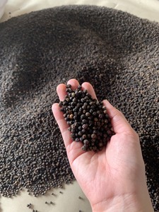 พริกไทยดำเวียดนามพรีเมียม: คำถามที่พบบ่อย, ทำความสะอาดแล้ว, ขนาดเม็ด 1 มม., ไม่มีเปลือก - เครื่องเทศวิลาโคนิคสำหรับส่งออก (จอยซ์) - Product Image 5