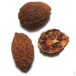 CARDAMOMO NEGRO NATURAL PREMIUM - ESPECIAS SECAS DE ALTA CALIDAD PARA EXPORTACIÓN - Product Image 6