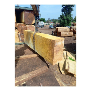 Proveedor de Troncos de Madera Dura Iroko Africana al por Mayor para los Mercados Comerciales de Carpintería, Muebles y Construcción - Product Image 6