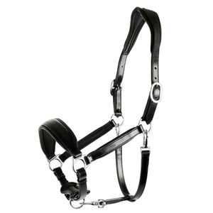 Cabestro de Cuero Premium para Caballo, Estilo Brida, Color Negro, con Herrajes Metálicos - Product Image 1