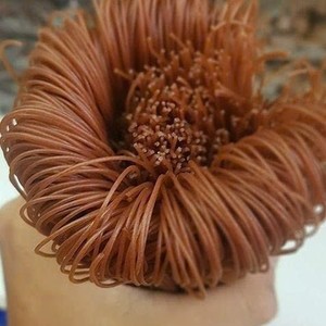 เส้นวุ้นเส้นข้าวกล้องไร้กลูเตนน้ำตาลต่ำจากเวียดนาม - Product Image 2