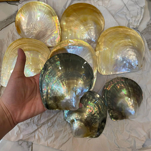 Pearl Of Mother Shell Vietnam Material For Fashion Accessories Inlay Handicraft Decorative Plate Supply Yellow Black Yellow - Product Image 1