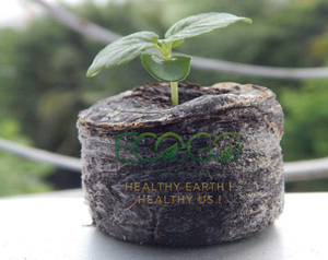 Eco2go Vietnam Coconut Coir Pellet Block Biodegradable Growing Medium for Plant Seed Starting - Product Image 5