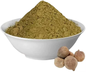 ผงบาเฮดาแท้ ตราสินค้าส่วนตัว ผลิตจากต้นเทอร์มินัลเลีย เบลลิริกา 100% สมุนไพรอายุรเวทธรรมชาติ สำหรับการย่อยอาหาร ขจัดสารพิษ บำรุงระบบทางเดินหายใจ และสุขภาพเส้นผม - Product Image 6