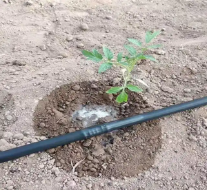 6mil Economy Drip Tape 200m Rollo 33cm Distancia del agujero Uso estacional - Product Image 1