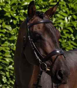 Bridon de cheval en cuir fantaisie avec forme anatomique et rembourrage doux, réglable - Product Image 4