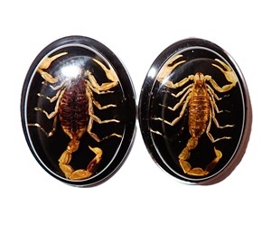 Escorpión Dorado, Espécimen Real, Cabujón de Plástico Ovalado de 31x41 mm, Base Plana Negra para Manualidades y Joyería - Product Image 3