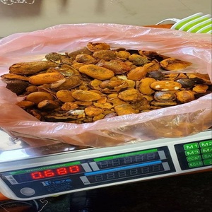 Cápsulas de Cálculos Biliares de Buey/Ganado/Vaca 100% Naturales de Primera Calidad, Solubles en Agua, para Alimentos Saludables, a Precios Muy Bajos - Product Image 2