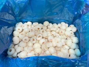 [OFERTA ESPECIAL] Lichi Congelado Dulce IQF en Forma de Bola Blanca, 18 Meses de Vida Útil, a Granel, Origen Vietnam, Calidad de Exportación para Alimentos - Product Image 5