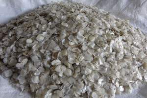 เกล็ดปลาทิลาเปียแห้งขายส่งที่ดีที่สุด ปี 2024 บริสุทธิ์ 100% พร้อมราคาที่แข่งขันได้และคุณภาพระดับตลาด // อีวาน - Product Image 3