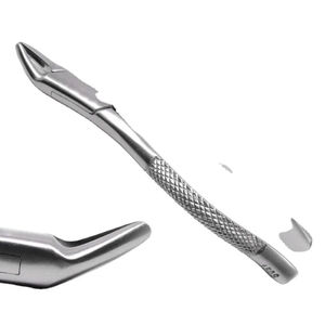 Pinzas de Extracción Dental Manuales Reutilizables de Acero Inoxidable para Caninos Superiores y Premolares con Agarre Ergonómico Shuja Surgico - Product Image 6