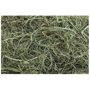 Foin de Timothy de qualité supérieure pour l'alimentation animale, luzerne / foin de Timothy / luzerne à vendre - Product Image 6