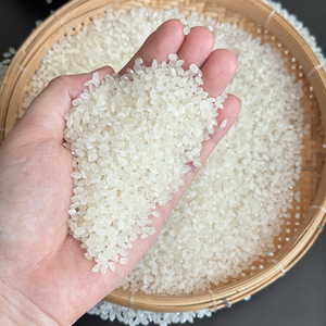 ข้าวเมล็ดสั้นคุณภาพพรีเมียม เกรดอาหาร ขายส่ง ราคาดีที่สุด พร้อมส่งออกจำนวนมาก - Product Image 1