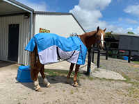 Couverture pour cheval Prima Quality 1200DN imperméable toutes saisons, pour usage extérieur, lavable en machine, légère, combinaison crossover, polyester