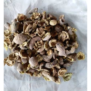 CareQue Baheda Chilka, Cáscara de Bibhitaki Cruda, Seca al Sol, Natural |   Terminalia Bellirica Entera |   Baheda Sabut |   Beleric Myrobalan - Product Image 6