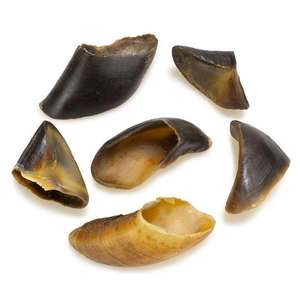 Golosinas para Perros, Secas, Orgánicas, de Búfalo, Altas en Proteínas, con Beneficios para la Salud, en Caja y Bolsa - Product Image 5