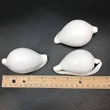 เปลือกหอยขาวขัดเงาคุณภาพดี ขายส่งจำนวนมาก ผู้จัดจำหน่ายเปลือกหอยธรรมชาติสำหรับทำเครื่องประดับ งานฝีมือ และตกแต่ง - Product Image 6