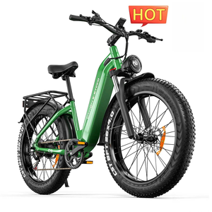 Bicicleta eléctrica EBYCCOS&DAHON C9 Peak de 26 pulgadas, 2000W, 48V, 20Ah, con cuadro bajo, la más vendida - Product Image 3