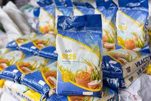 Riz blanc vietnamien ST25 de haute qualité meilleur riz long du monde vente chaude de riz séché fabricant direct Vilaconic - Product Image 4