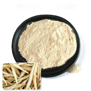 Polvo de Shatavari 100% Natural de Venta Caliente, Polvo de Shatavari Premium, Proveedor a Granel de la India para Uso como Suplemento Dietético - Product Image 3