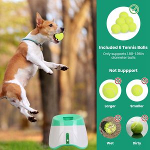 Lanciatore Automatico di Palline per Cani con 6 Palline da Tennis, 3 Distanze di Lancio Regolabili, Macchina Interattiva per il Gioco di Porta e Rientra - Product Image 4