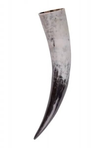 Cuernos de Vaca Orgánicos Pulidos y Ecológicos, Cuernos Vikingos para Beber, Tacto Real, Forma Natural, Aptos para Alimentos, Medievales, para Beber en Casa - Product Image 6