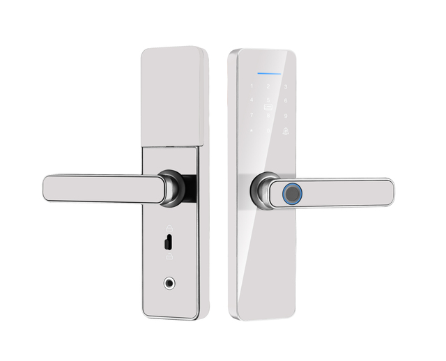 Home Hotel Security Smart TTlock Tuya Wifi Locks Code Cerradura Inteligente Fingerprint Card Key Smart Door Lock