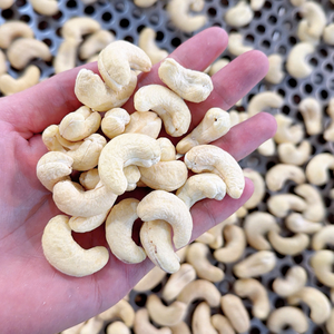 Precio de Fábrica Nueces SANTIGO Anacardos W320 Anacardos W240 Envasados al Vacío - Product Image 1