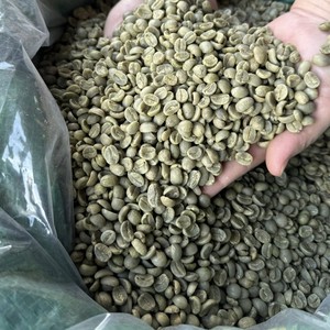 Granos de Café Arábica de Origen Directo, Totalmente Lavados, Tamaño 18, Exportación de Granjas de Alta Montaña de Vietnam - Product Image 1