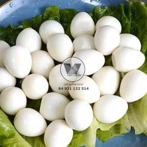 AVAILABLE Sustainable 425g Farm Fresh Canned Quail <b>Eggs</b> in Brine Tinned Peeled Quail <b>Egg</b> Fast Prepare for Hotpot Soup Toppings - Product Image 4