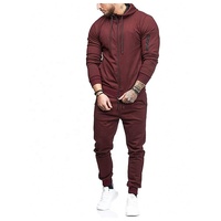 Chándal deportivo de manga larga para hombre, conjunto de sudadera y pantalones de chándal para correr en invierno, ropa de abrigo