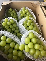 Briljante kwaliteit, geweldige kwaliteit, uitgebreide variëteit Japanse vruchten, groene, zwarte, rode verse druiven, importeur