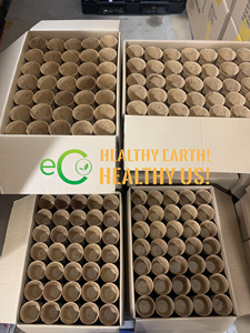 Macetas de fibra de coco vietnamita de alta calidad, 100% naturales, biodegradables, bajo precio, diversos tamaños, utilizadas para sembrar semillas - Product Image 4