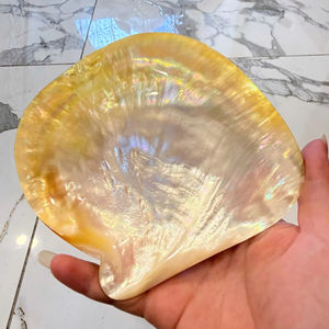 PLAT EN COQUILLE ARC-EN-CIEL POLI À LA MAIN JAUNE |   PIÈCE D'ART NATURELLE EXQUISITE |   Vaisselle haut de gamme écologique - Product Image 1