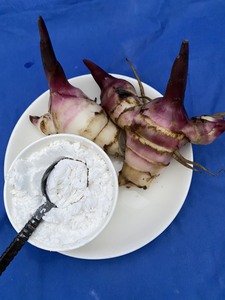 Poudre d'amidon d'arrowroot biologique la plus vendue, goût naturel pour l'alimentation et les ingrédients, emballée en sachet, provenant du Vietnam - Product Image 2