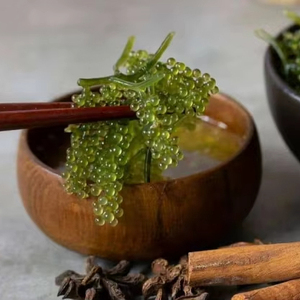 Producto de uvas de mar vietnamitas de alta calidad | Algas Marinas Naturales Detox y Aptas para Vegetarianos - Product Image 1