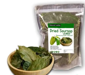 Hojas de Graviola de Alta Calidad, Materia Prima para Té Herbal, Exportación al por Mayor, Fabricante de Vietnam - Product Image 1