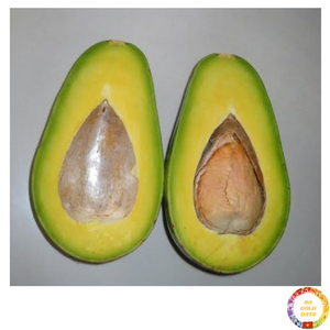 Fruit d'avocat biologique frais ingrédient crémeux tropical pour boulangerie pâtisserie mousse au chocolat dessert approvisionnement Vietnam - Product Image 6