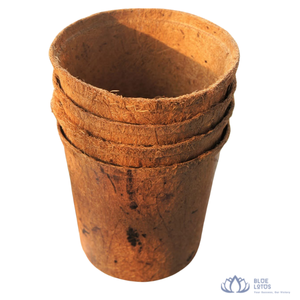 [AVAILABLE] | Coir <b>Pot</b> Biodegradable <b>Square</b> Planter Basket For Agriculture <b>Plant</b> Nursery Farmhouse Use Vietnam - Product Image 1