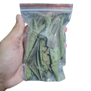 Oferta de Volumen al Por Mayor: Polvo Fino de Capullo de Flor de Guayaba, Hojas Puras de Plantas, Empaquetado a Granel de Exportador Vietnamita - Product Image 6