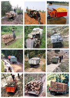 Marché du Pakistan, du Myanmar, du Honduras, de la Guyane : Camion benne sur chenilles diesel hydraulique 4x4 tout-terrain pour l'exploitation minière, 3, 4 et 5 tonnes