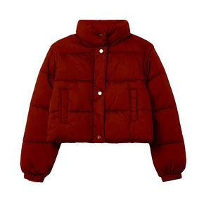 Streetwear Embroidery Quilted <b>Jackets</b> for Women <b>Cropped</b> Short Bubble <b>Puffer</b> Coat 100% Polyester Detachable Collar Winter/Autumn - Product Image 4