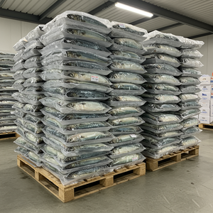 Pescado Atún Congelado Recién Cosechado, Conservado con Tecnología de Congelación Moderna para Mercados Minoristas y Mayoristas - Product Image 6