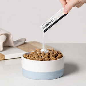 Complément alimentaire multivitaminé biologique OEM/ODM pour chats et chiens - Probiotiques et prébiotiques pour le soutien intestinal et immunitaire en poudre - Product Image 6