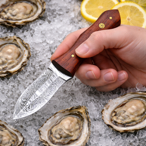มีดแกะหอยนางรมพร้อมปลอก ยี่ห้อ SAZ ENTERPRISES อุปกรณ์เปิดอาหารทะเล อุปกรณ์ครัวสำหรับเปลือกหอย ใช้กับเครื่องล้างจาน เตาอบ และไมโครเวฟได้ - Product Image 2