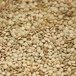 Lentilles vertes entières séchées en gros pour l'exportation et le commerce en vrac dans le cadre de la chaîne d'approvisionnement alimentaire internationale - Product Image 3