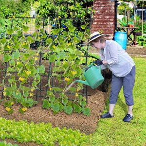 Enrejado de Jardín de 74 Pulgadas de Altura para Flores, Plantas Trepadoras, Vegetales y Frutas, Enrejado y Puertas para Protección de Huertos - Product Image 3