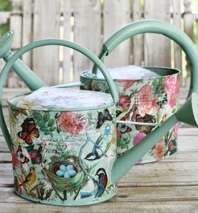 Arrosoir en métal de qualité supérieure, design élégant imprimé à l'émail, adapté aux jardiniers professionnels et aux amateurs de plantes à domicile. - Product Image 4