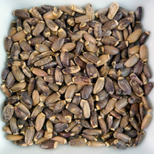 Proveedor de Semillas de Cardo Mariano a Granel |   Semilla de Silybum Marianum |   Materia Prima Herbal Seca Natural al por Mayor - Product Image 5