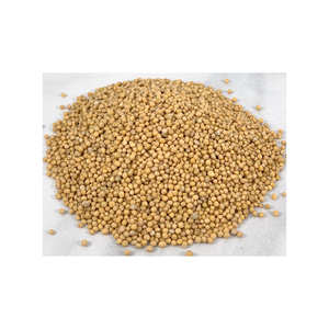 Semillas de Mostaza Amarilla Secas de Alta Calidad, Granos Crudos Naturales, Alimento Saludable - Product Image 5